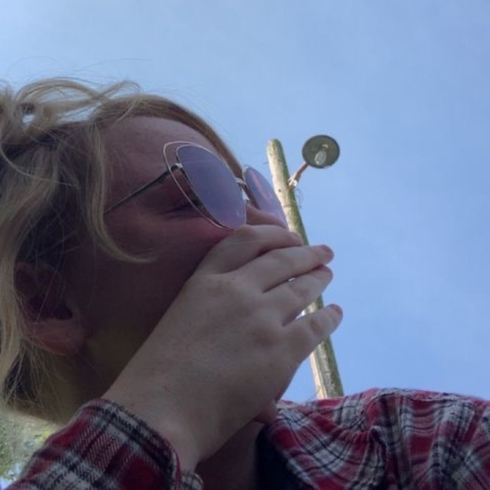 Meet your Posher, Lorelai